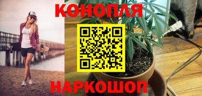 дживик Шелехов