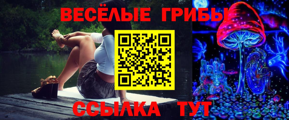 Карачаевск  Псилоцибиновые грибы GOLDEN TEACHER  Вход с VPN 
